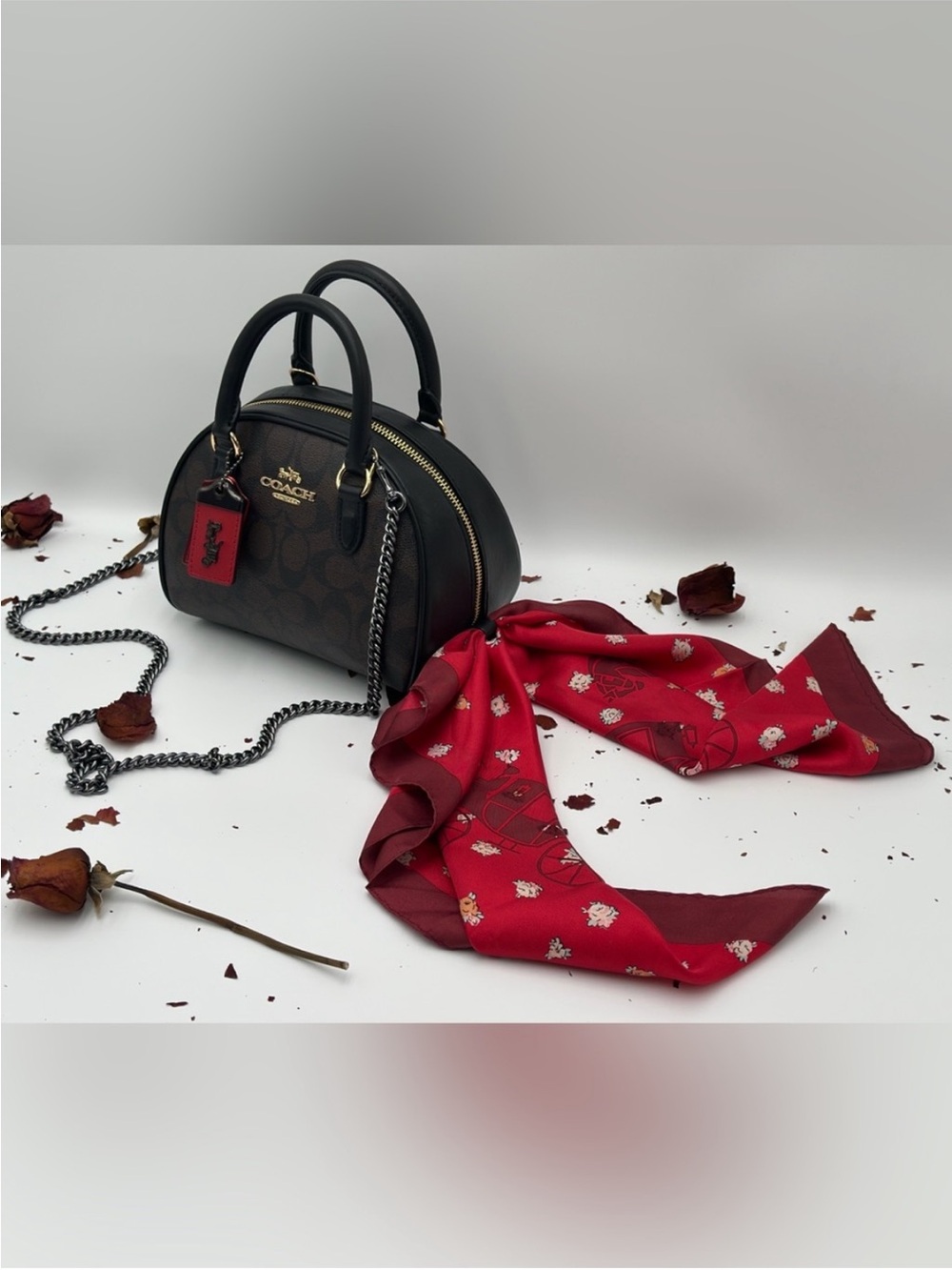 Coach Sydney Satchel In Signature Canvas